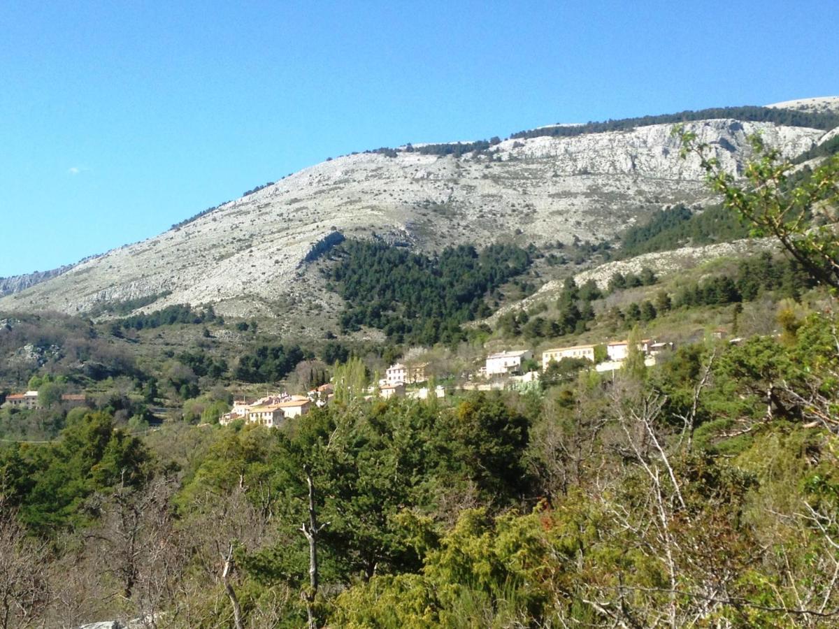 Lodge Du Berlandou Escragnolles Kültér fotó